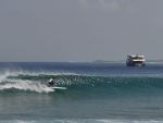 longboard maldives surf